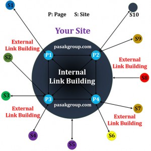 Link Building : Internal and External